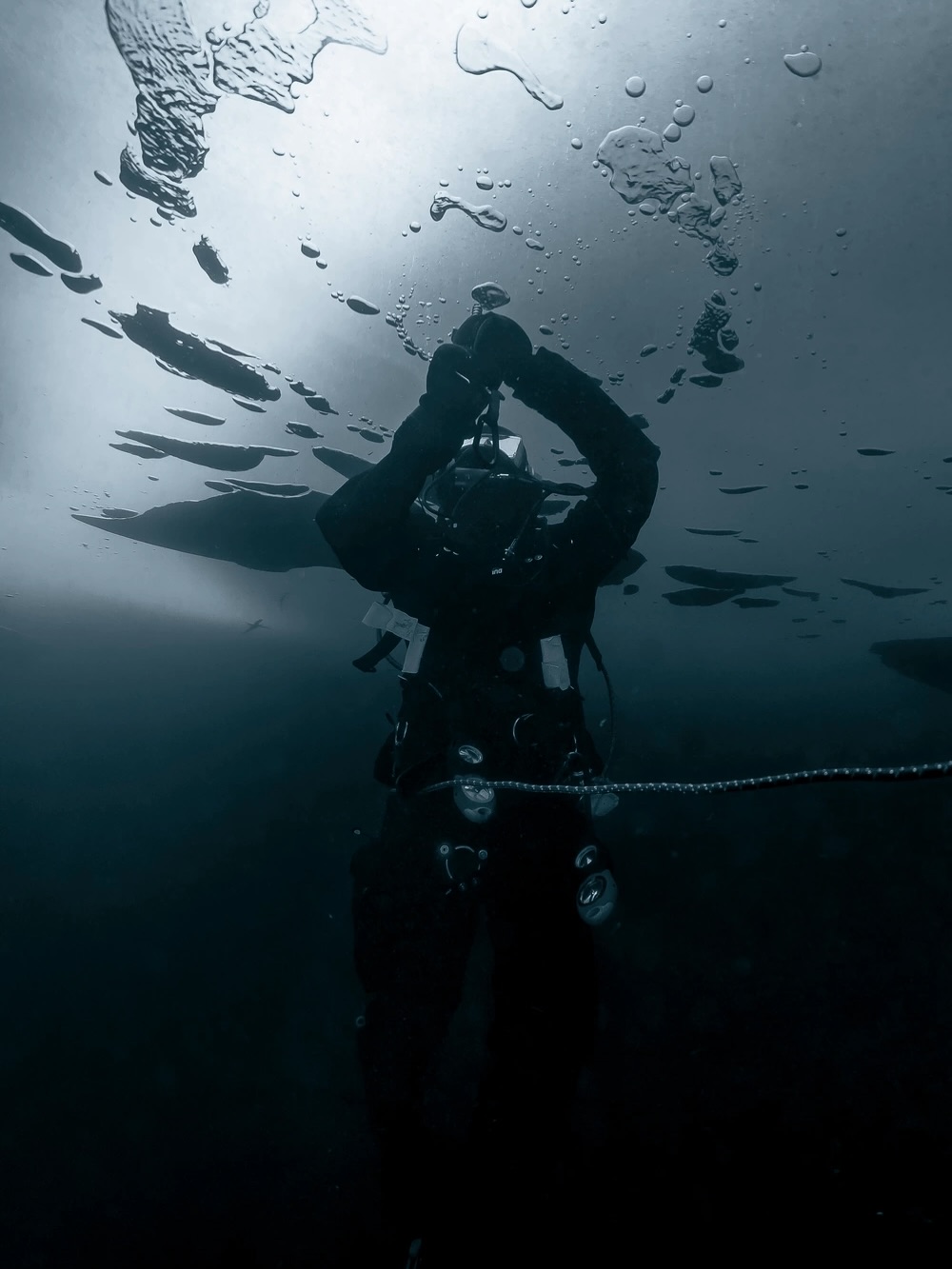 A scuba diver is silhouetted underwater, surrounded by a calm, dark blue environment. The surface of the water is rippled above them.