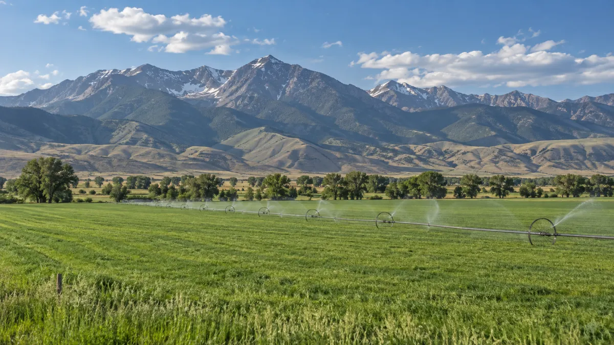 What Is the Ruby Valley Like for Montana Homebuyers?