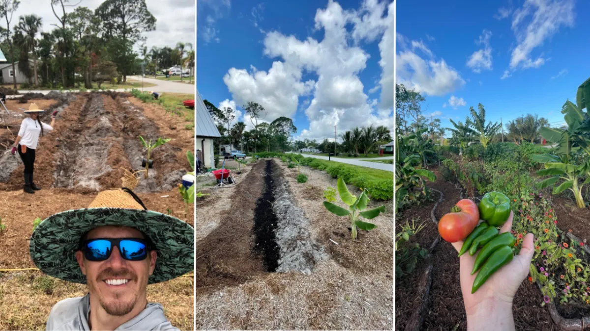 How To Grow Food