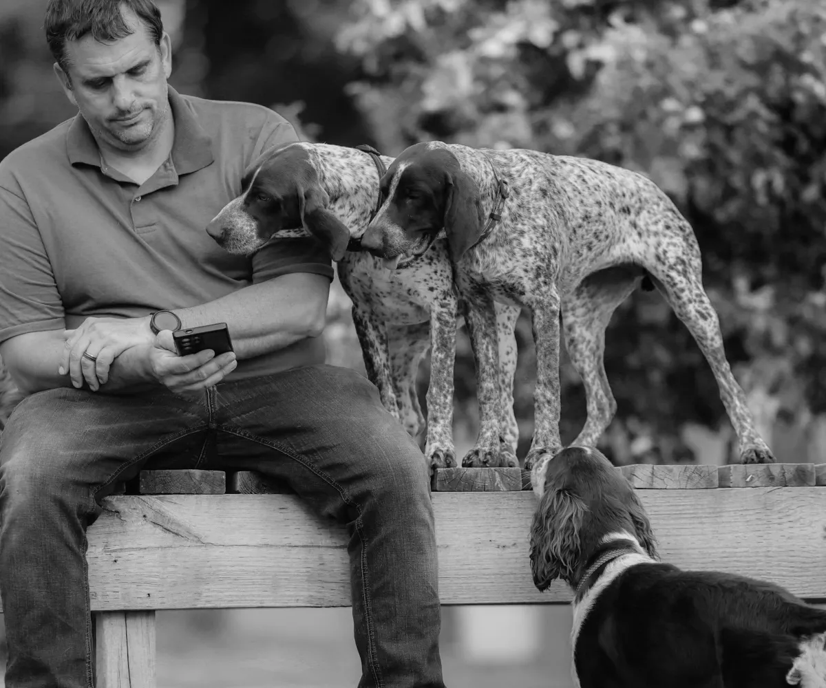 Kennel operator sitting with happy dogs.