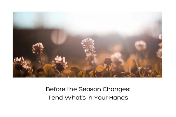 Before the Season Changes, Tend What’s in Your Hands