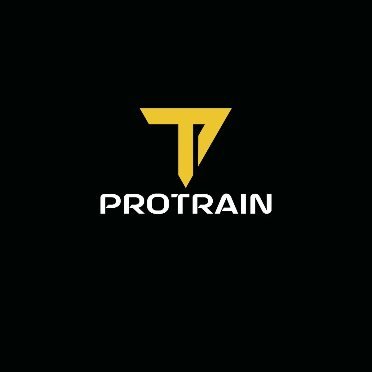 PROTRAIN Miami Logo