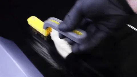 Protective Car Wrap