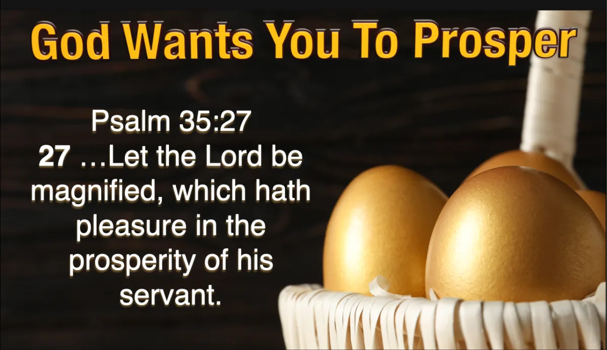 timelapse photo of people passing the street