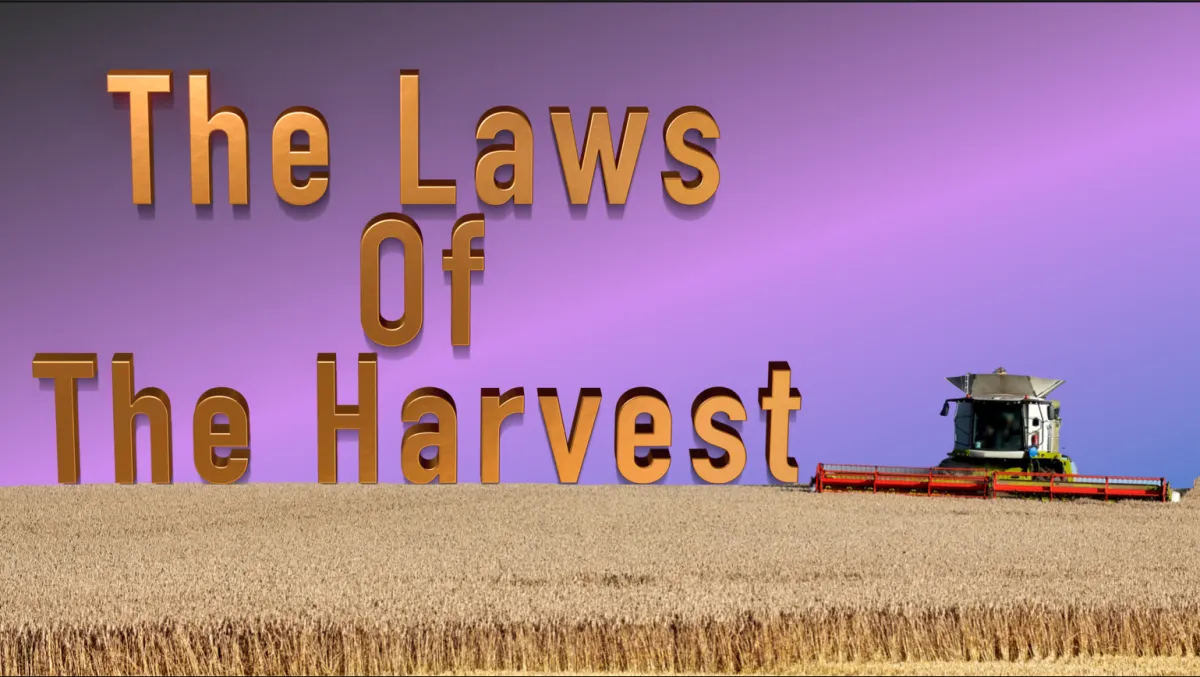 group of people setting up campfire