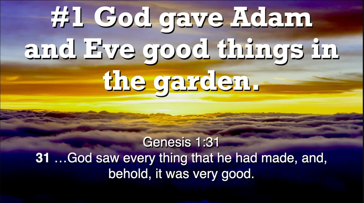 a lot of bags that are sitting on the ground