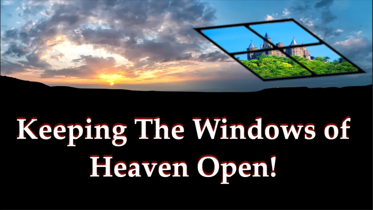 group of people taking photo near brown wooden tree