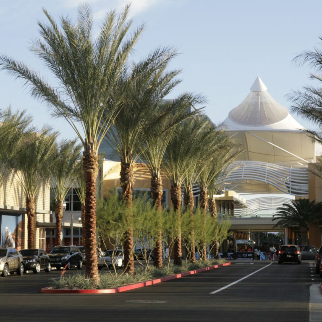 Summerlin, NV Featured Image