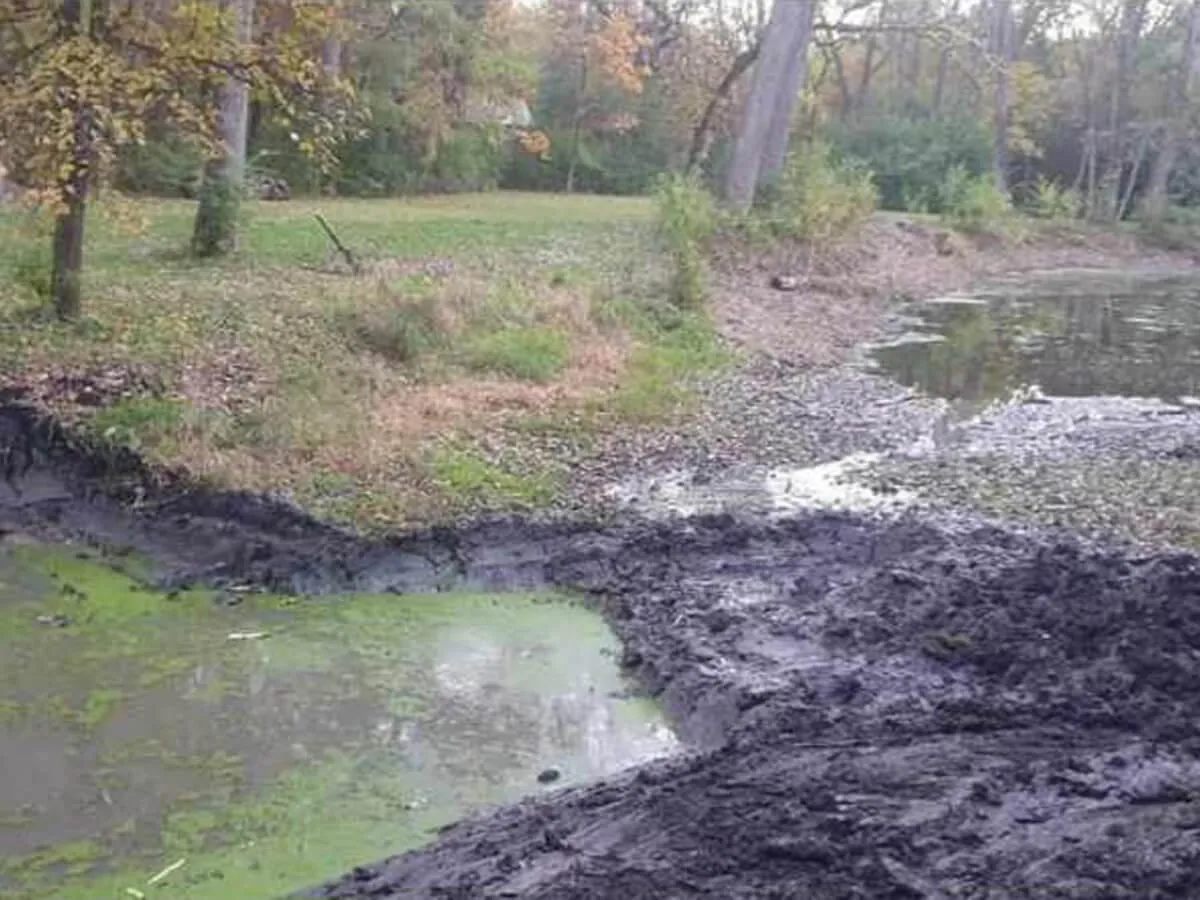 Pond Clean Out Services