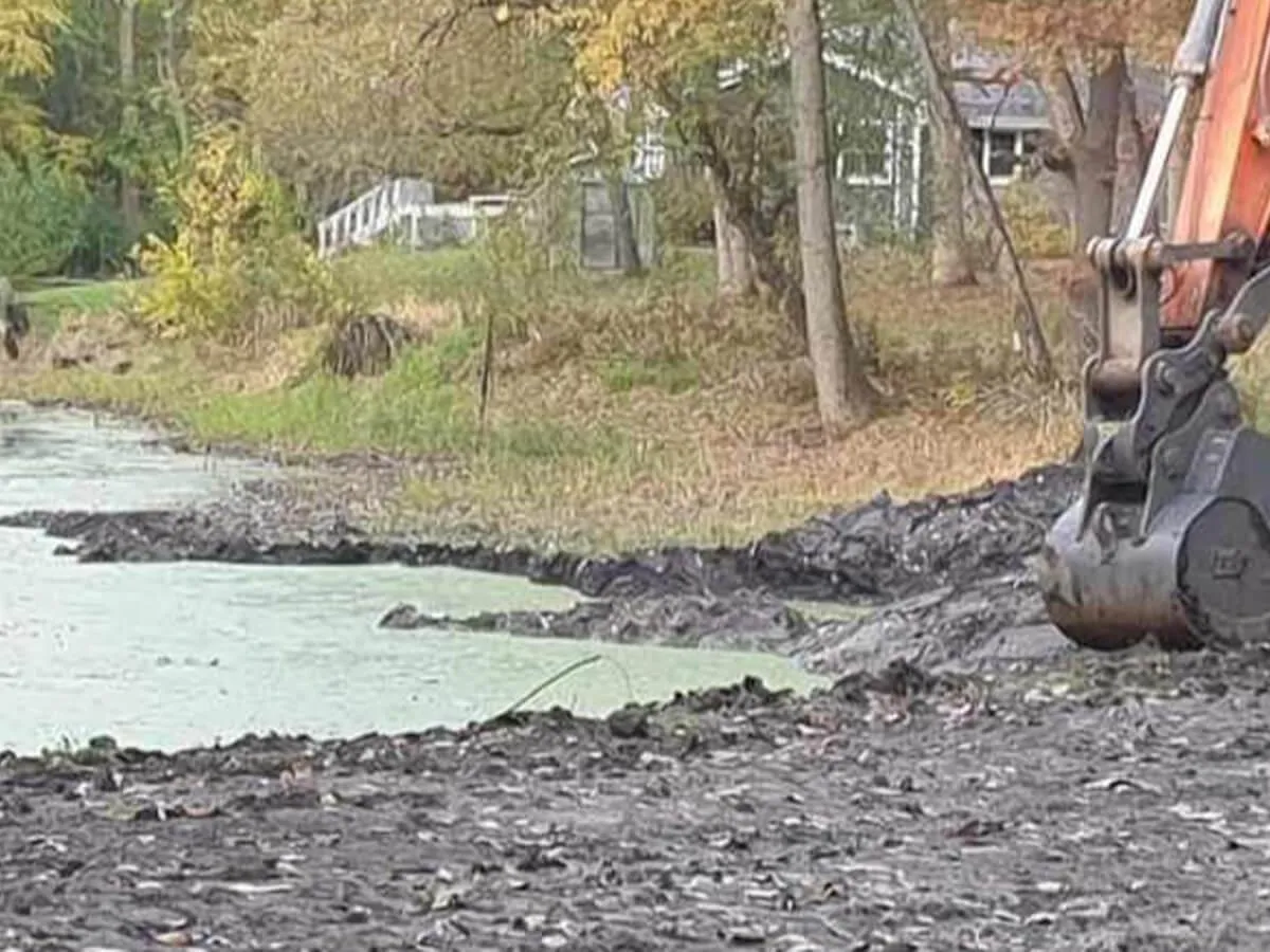 Pond Cleaning Services