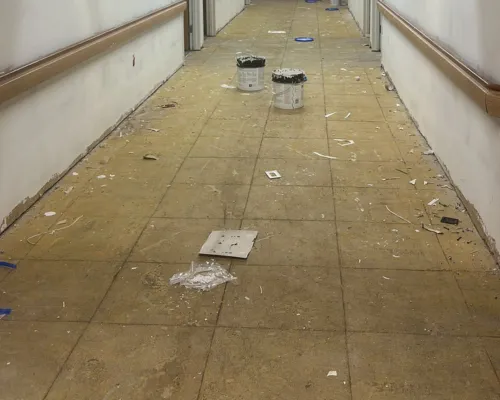 Main Line Flooring Installation