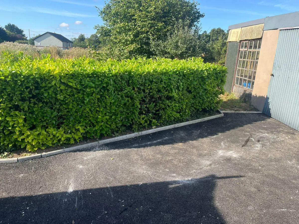 End of tenancy clearance results