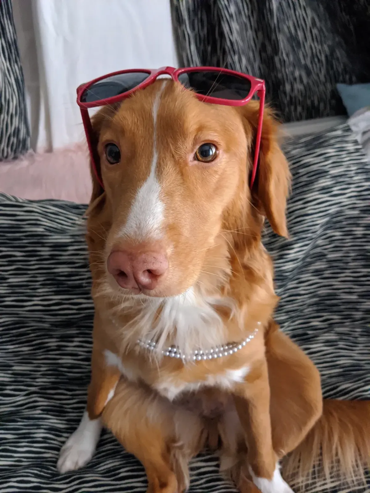 Finding Your Adventure!