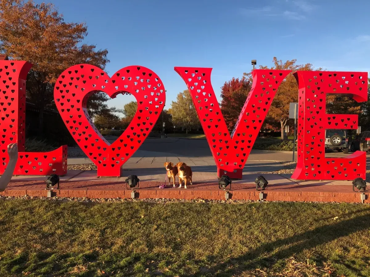 LOVE sign with dogs under it