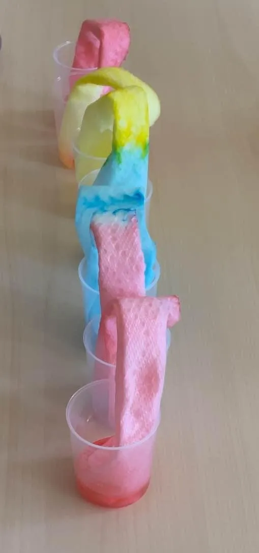 Boy picks paper out of different colored liquids