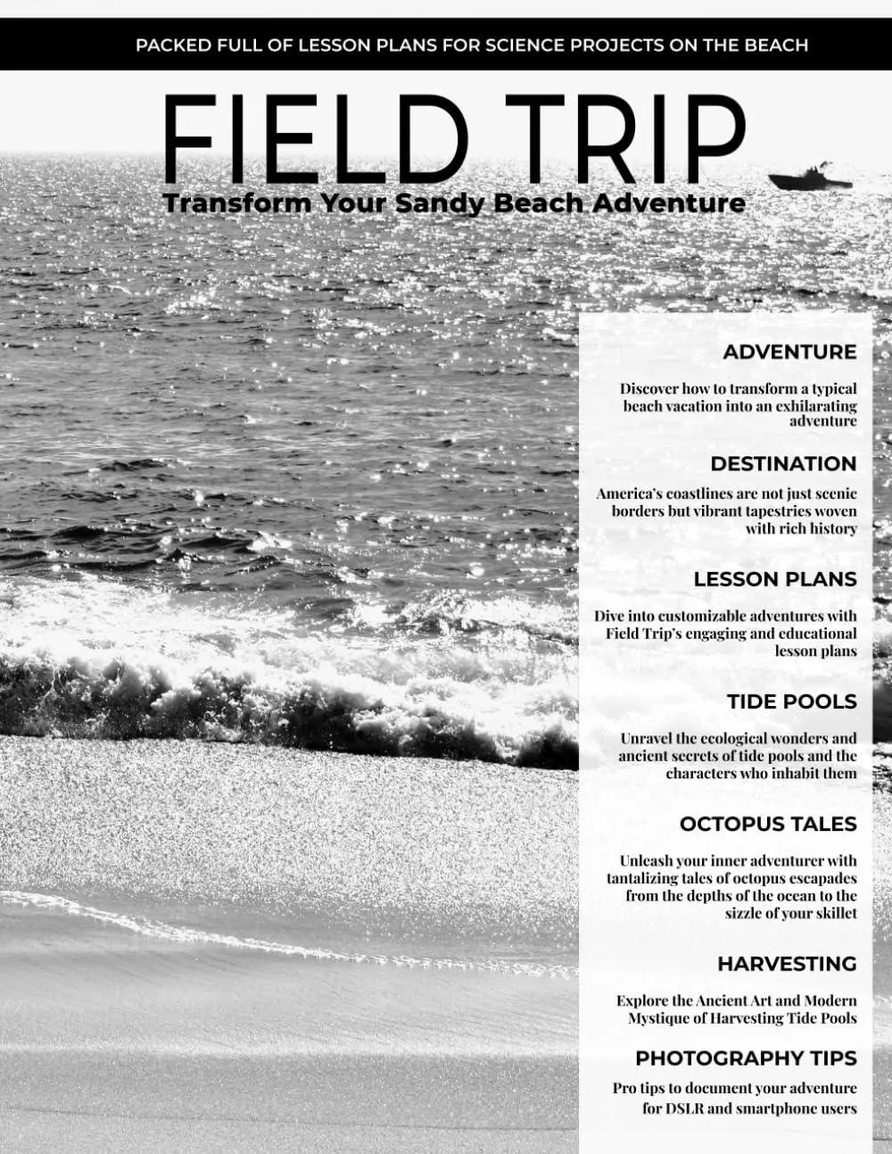 Field Trip Magazine, Beach Adventure, Science, Lesson Plans