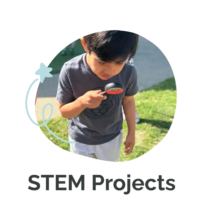 stem proects
