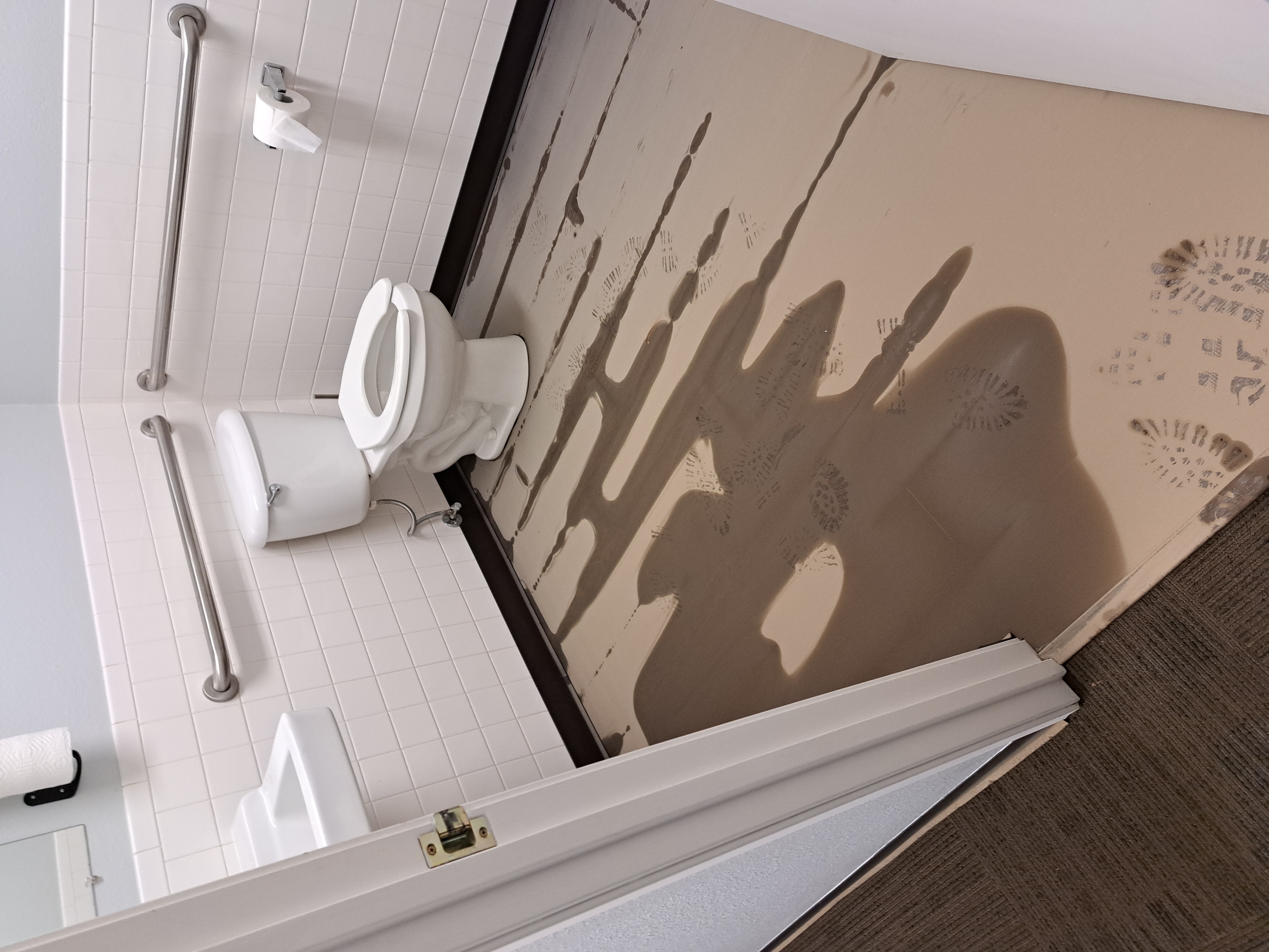 photo of Fort Collins bathroom with sewage backup