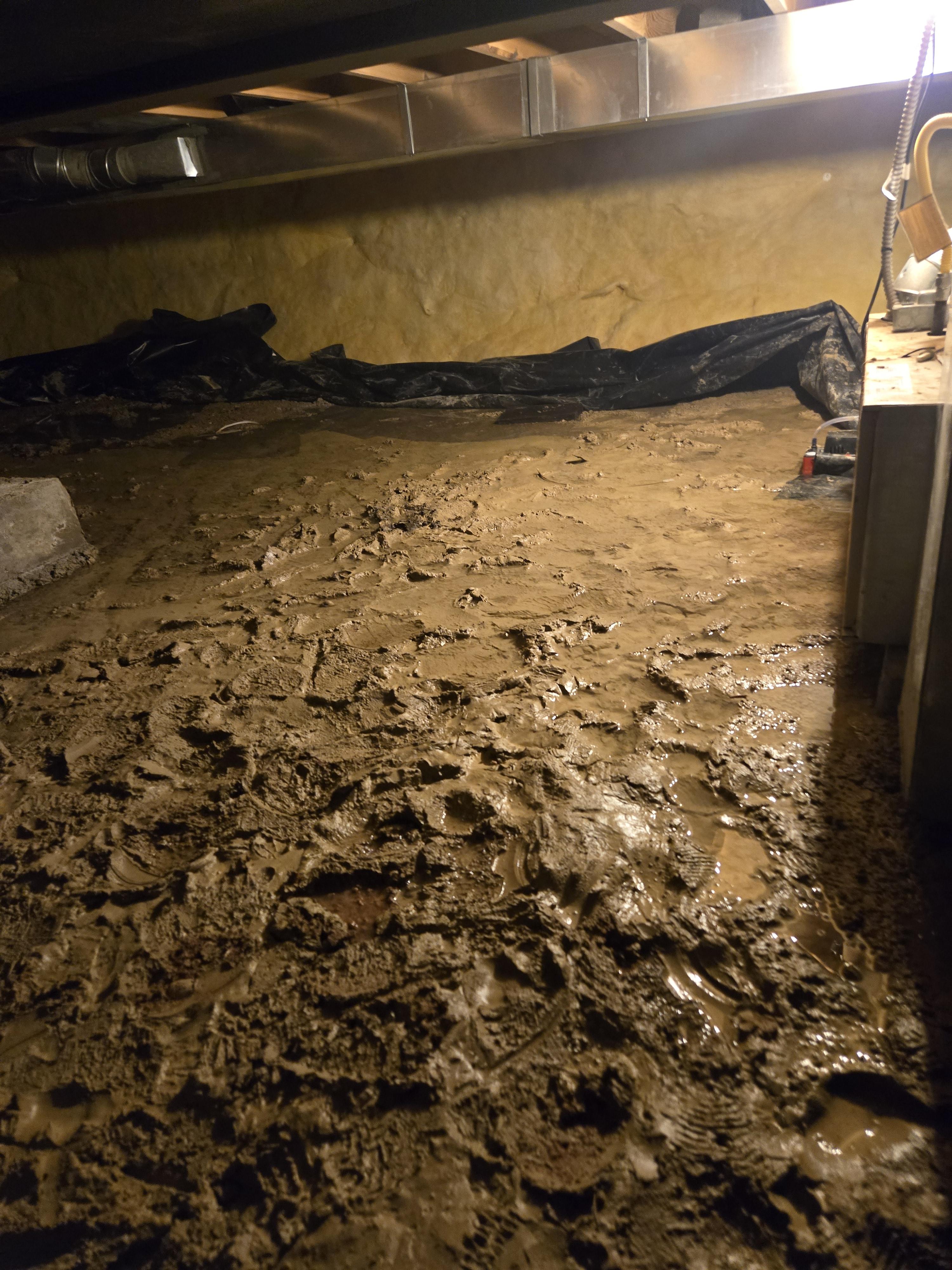 Sewage in a Fort Collins home