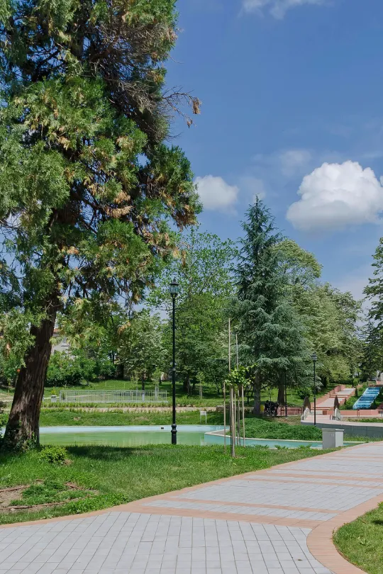 Scenic parks and nature trails in Morris County for hiking, picnics, and outdoor recreation.