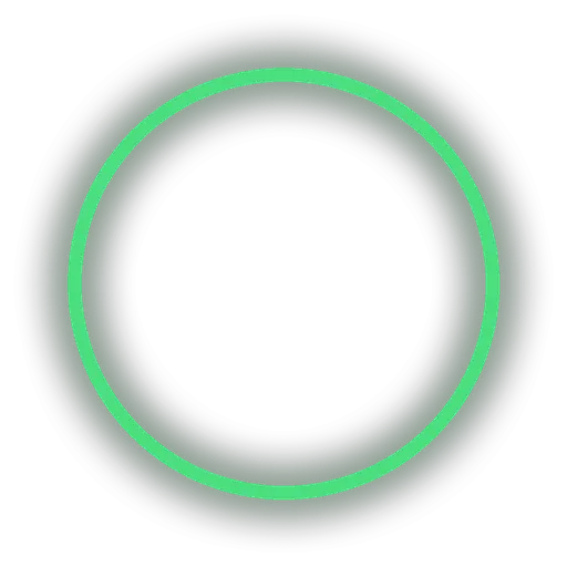 The number five