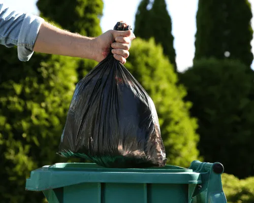 {{ custom_values.service_1 }} in {{custom_values.biz_area_1})