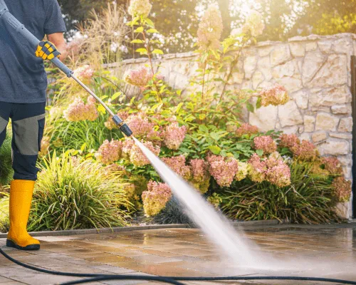 Commercial Pet Waste Management in La Quinta