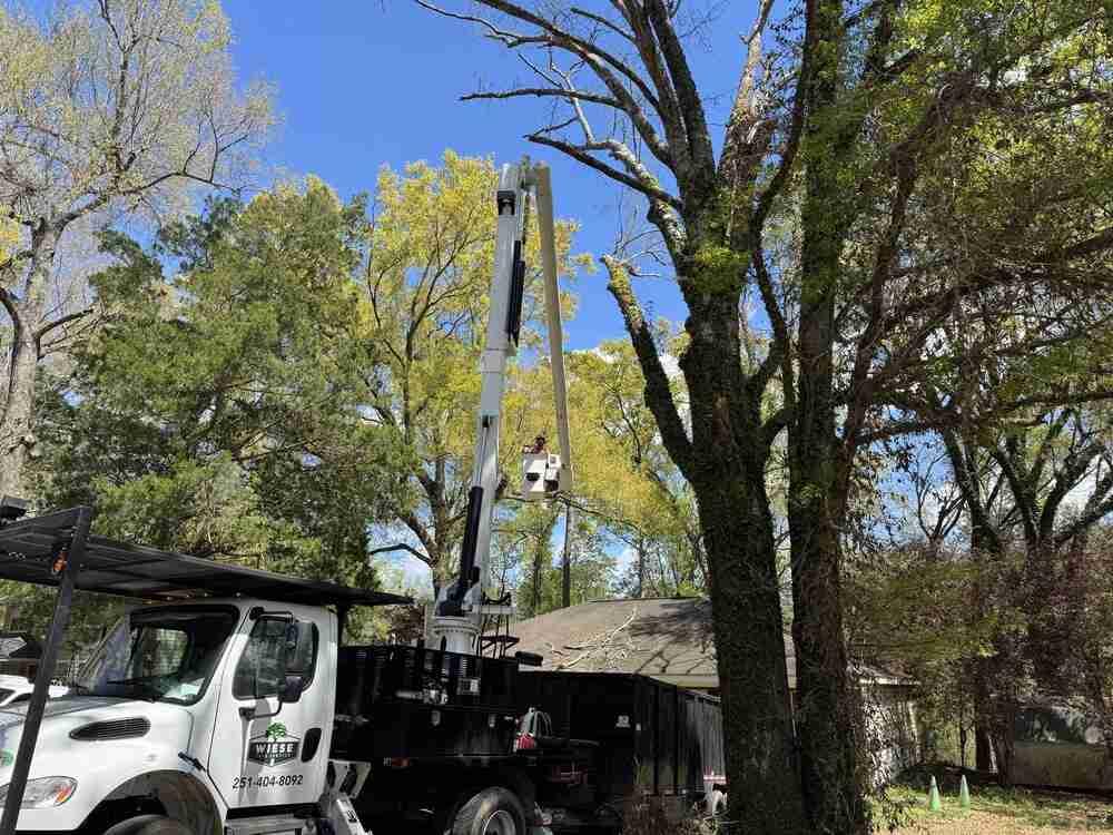 tree service mobile al
