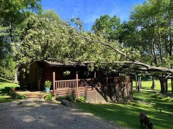 tree trimming mobile