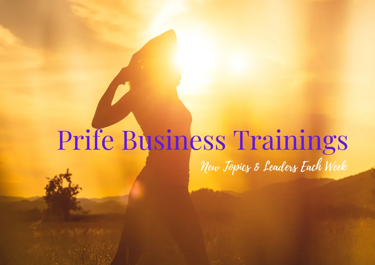 Prife Business Trainings  - iTeraCare Frequency Devices