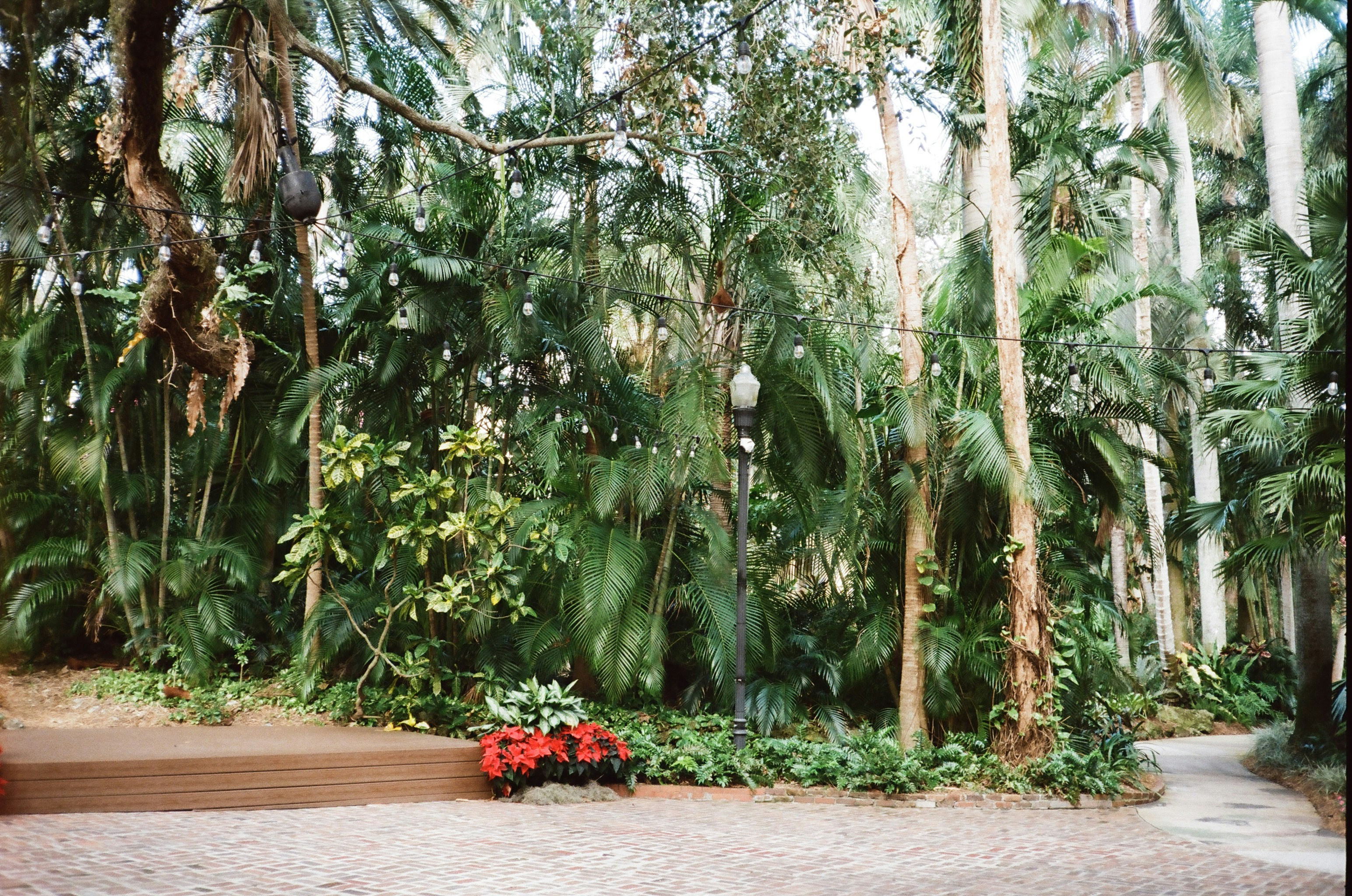 Boca Raton Lawn mowing