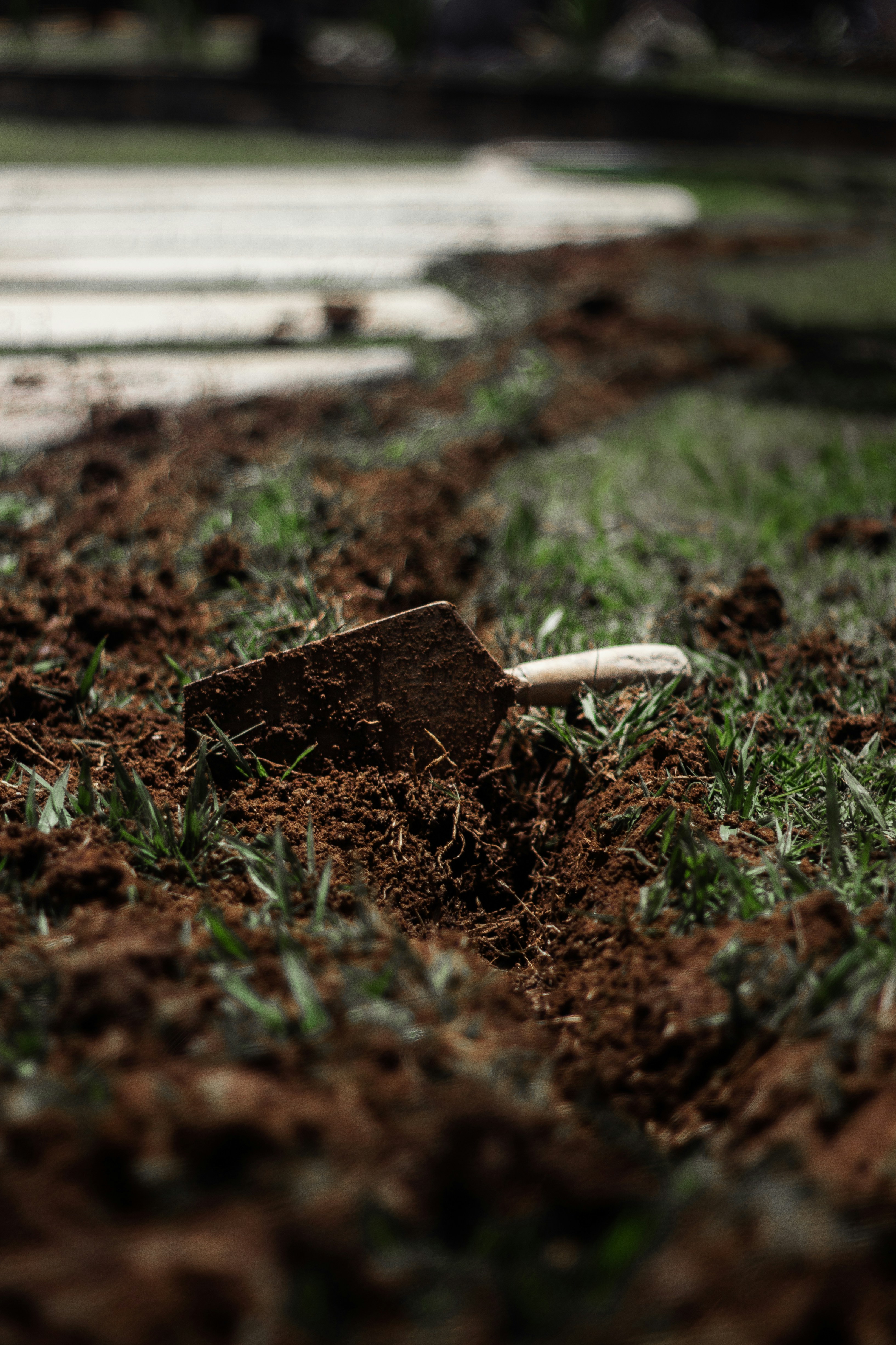 Ft Lauderdale Landscape design