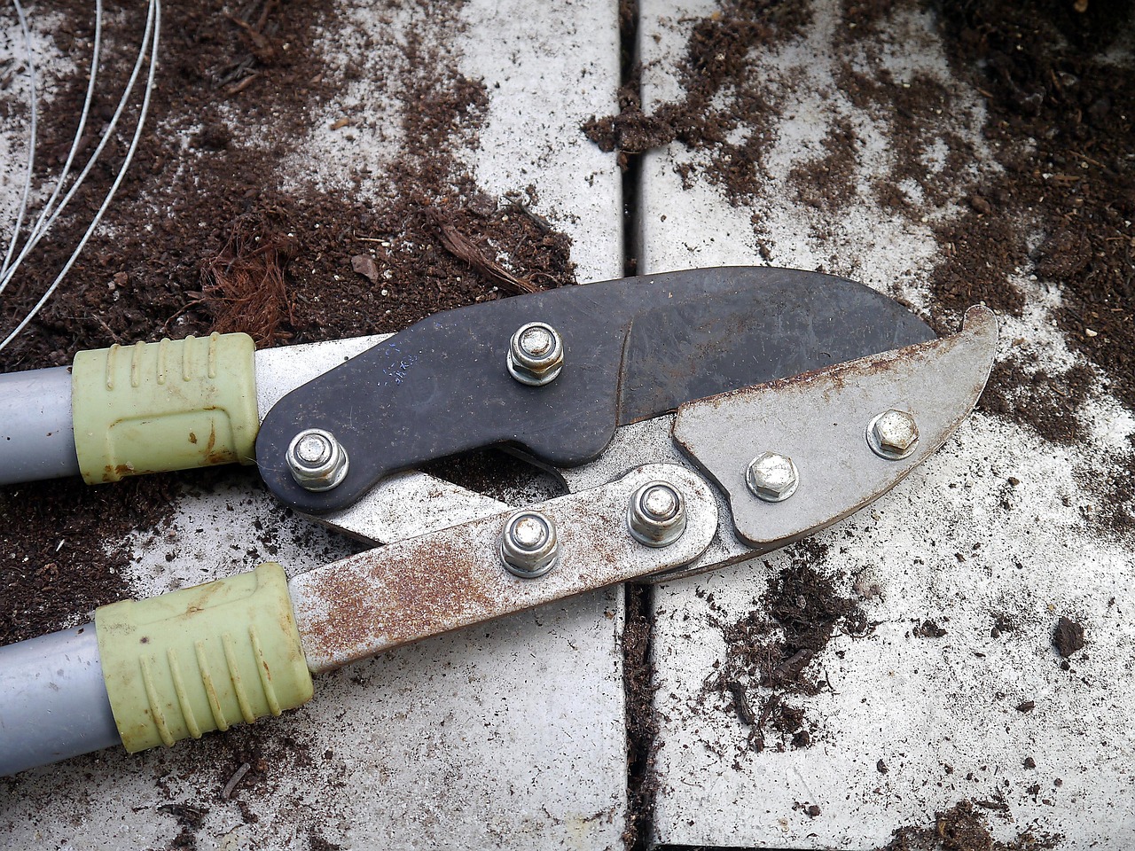 Boca Raton Leaf removal