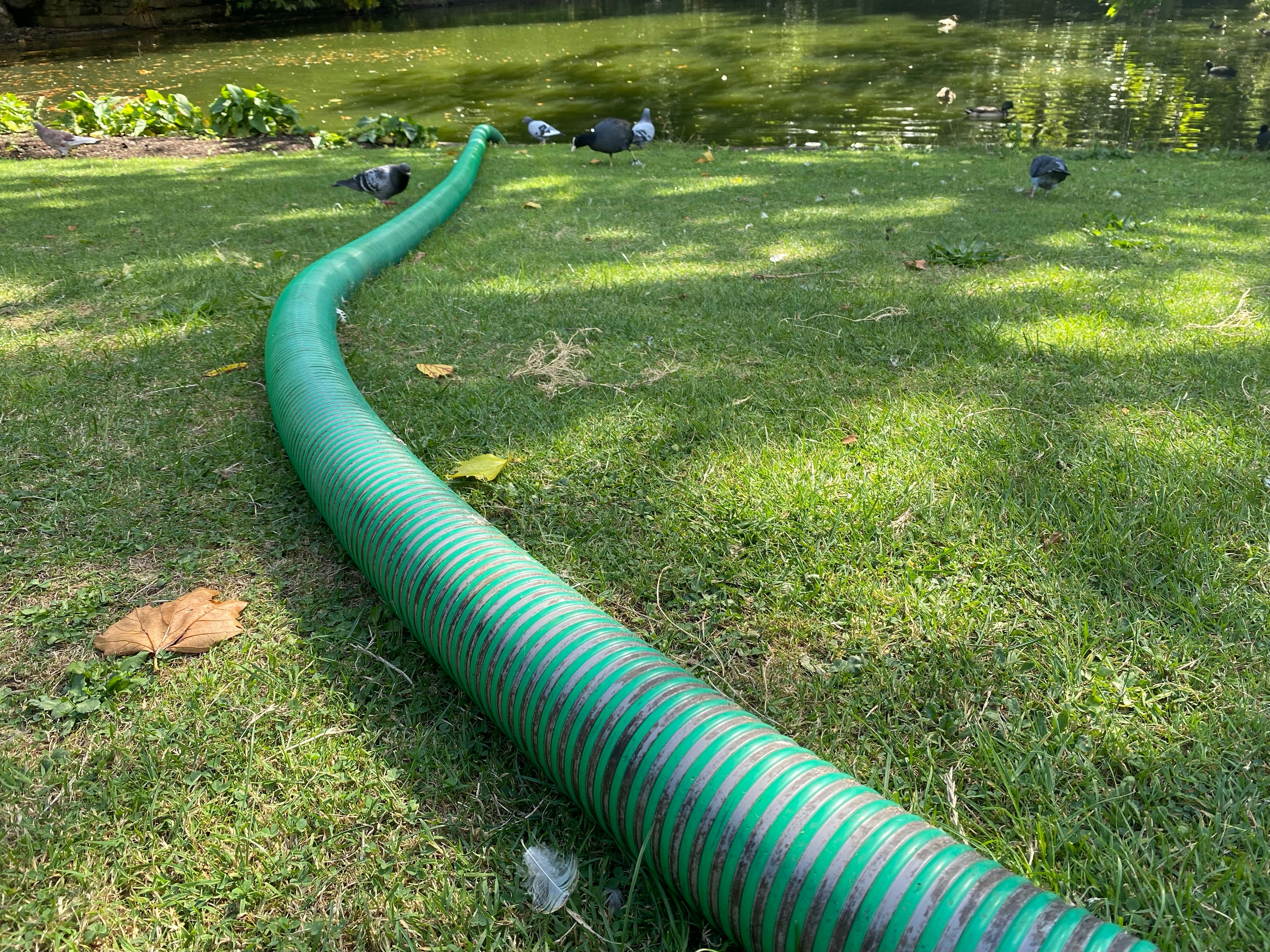 Boca Raton Irrigation installation
