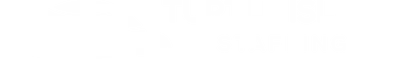 Turtle Island