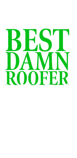 best damn roofer logo
