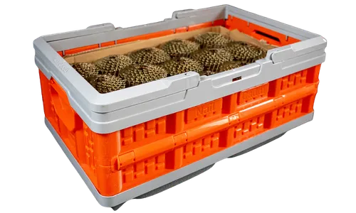 BMF Roofing Solutions nail caddy with nails inside and padded strap