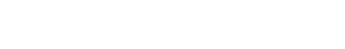 The Burpee Biathlon™ Logo