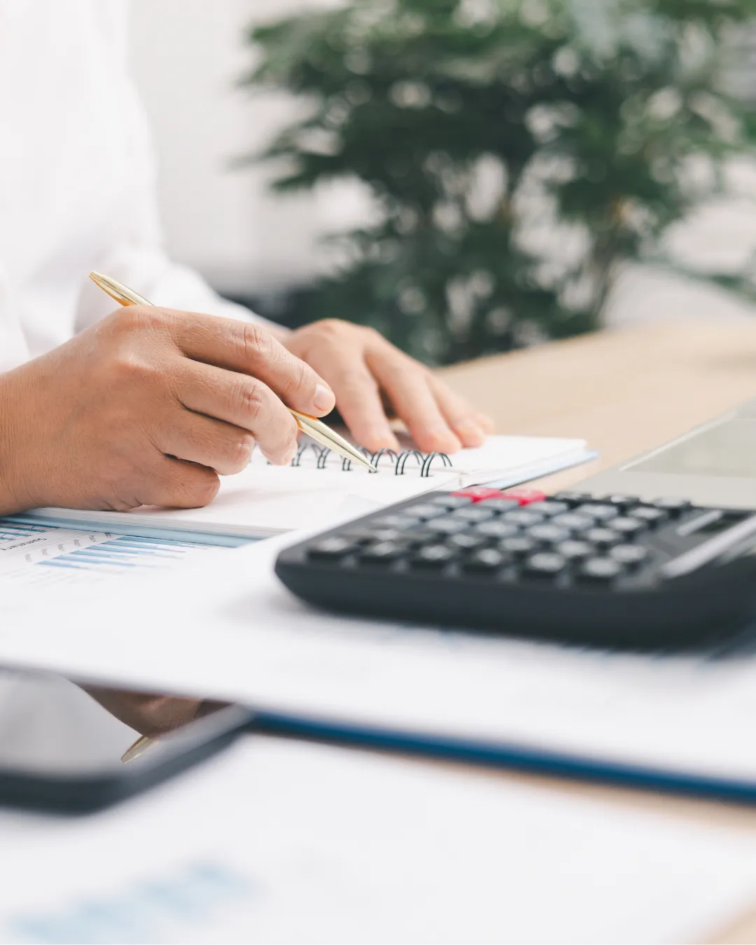  Individual Tax Preparation