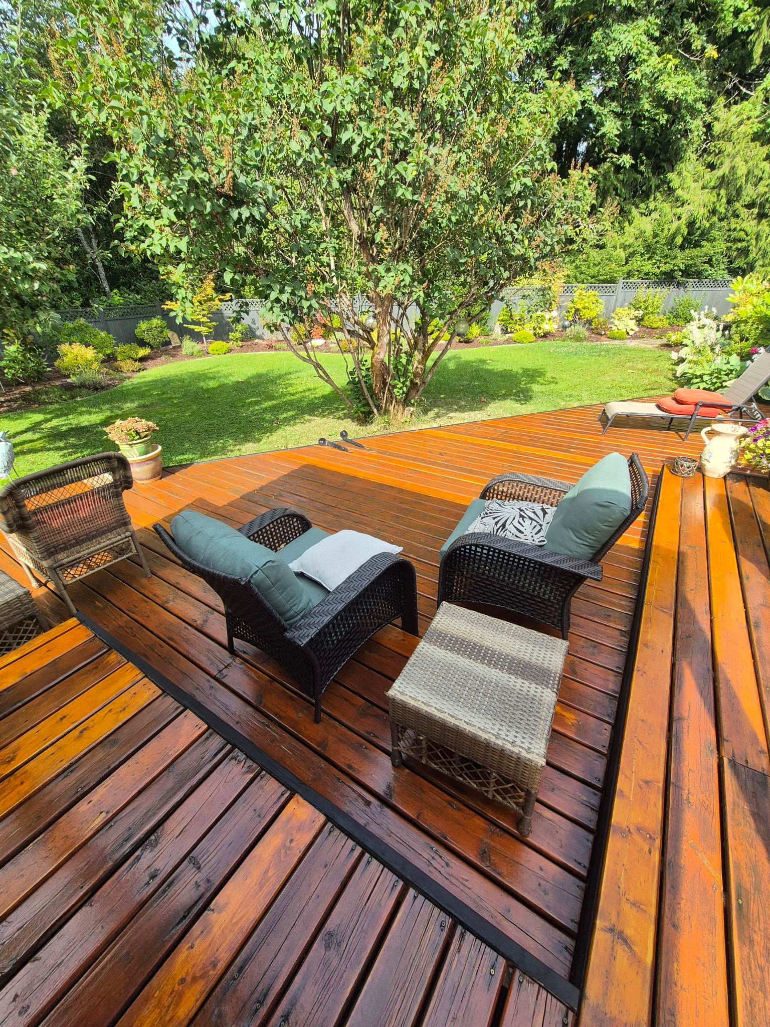 Fruit tree pruning Lantzville