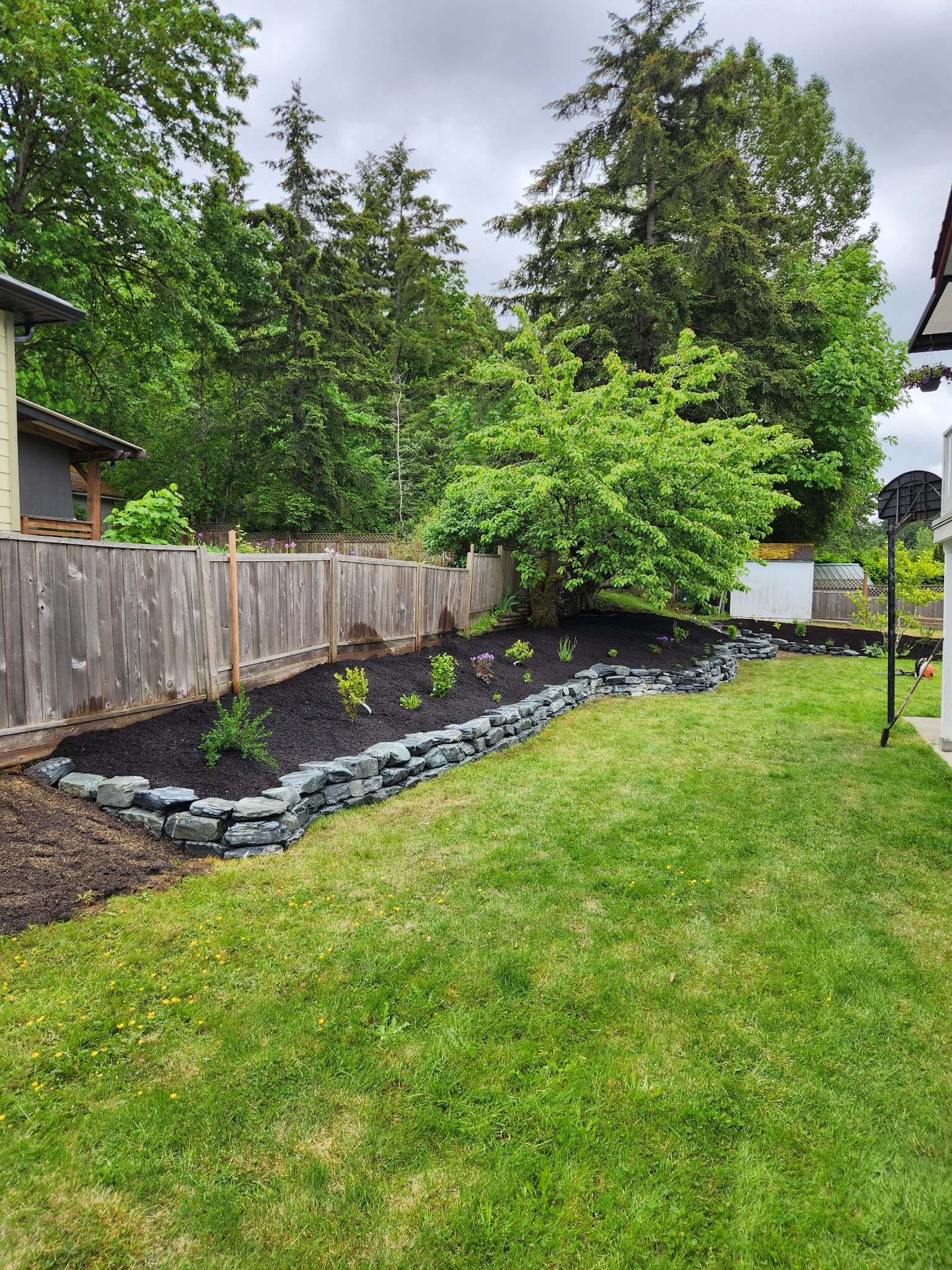 Hedge and shrub trimming Lantzville