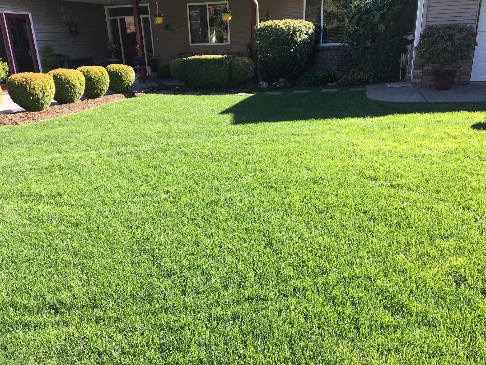 Lawn Cutting