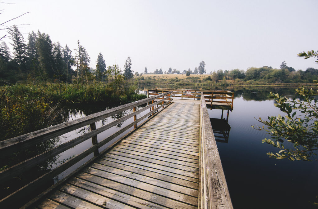 6 Month Car Rental in Kent Washington – Smart, Flexible Driving for Seattle Travel & FIFA World Cup 2026