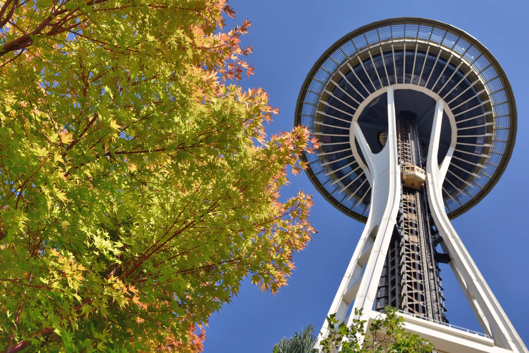 SeaTac Car Rental Guide for FIFA World Cup 2026 Travelers Visiting Seattle and Kent, Washington