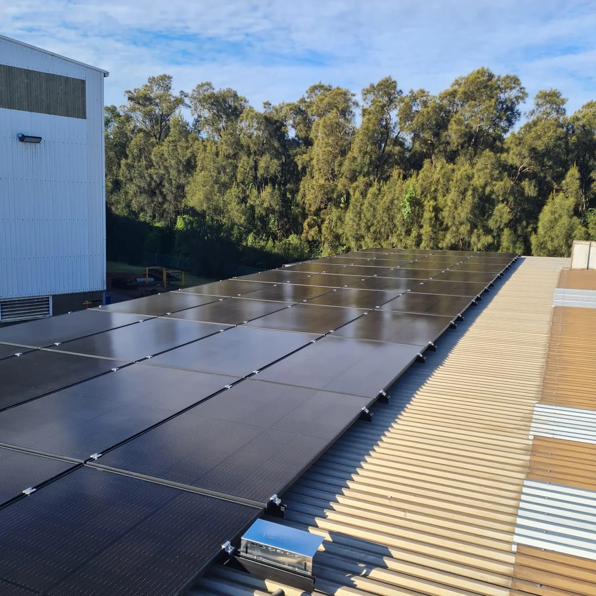 Solar Rebate NSW