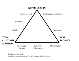 Arnoldo Hax Delta Model (modified and combined)