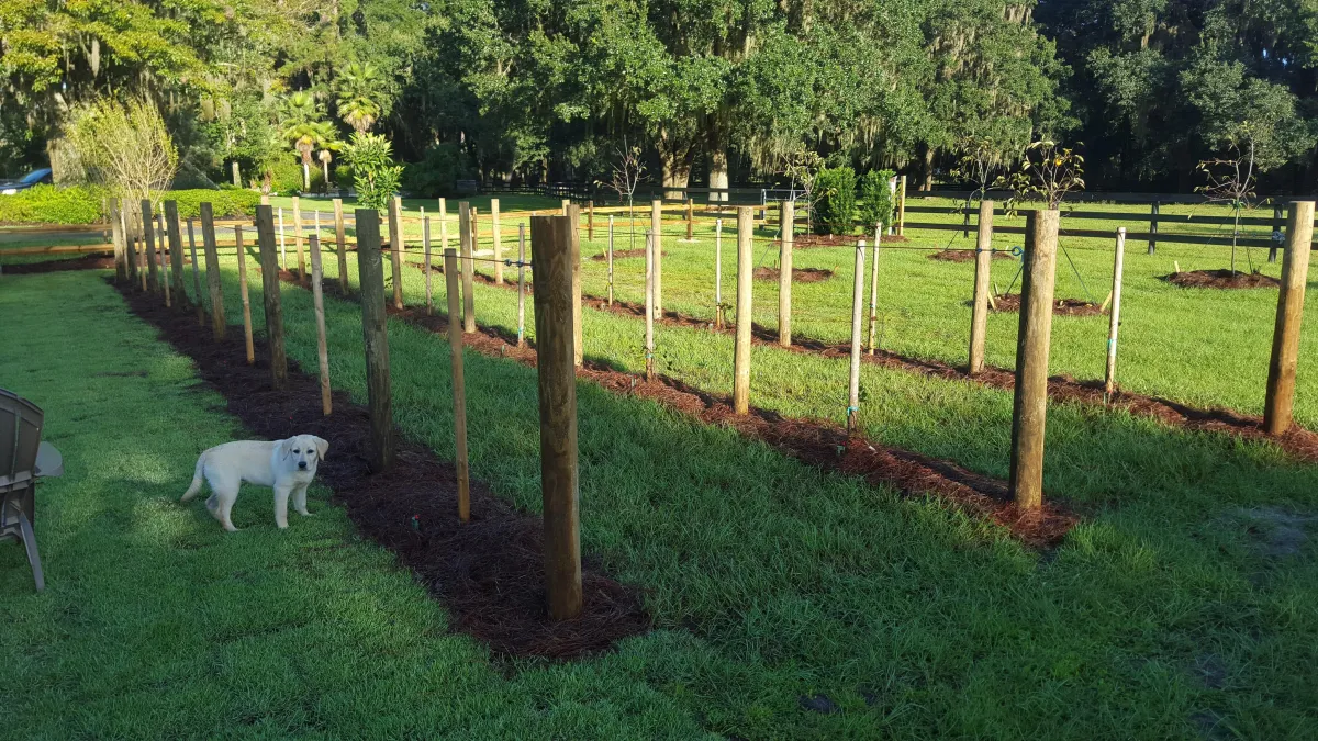 Edible Gardens