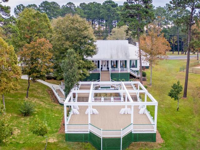 a path through a lush green forest filled with yellow flowers