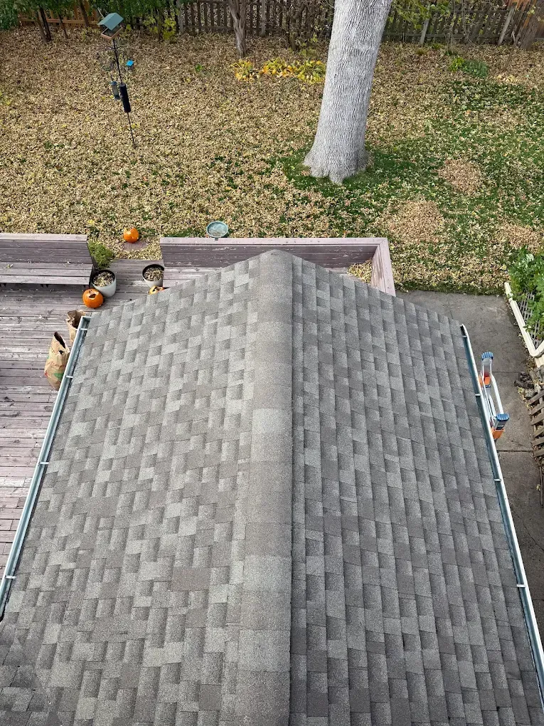 Gutter Cleaning Minneapolis