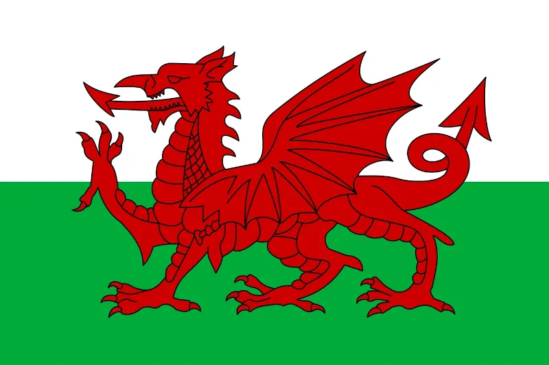 Welsh Flag - Smarter Websites Wales